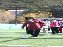 명량운동회